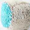 Pets Ball Clean Teeth Loofah Sponge Toy