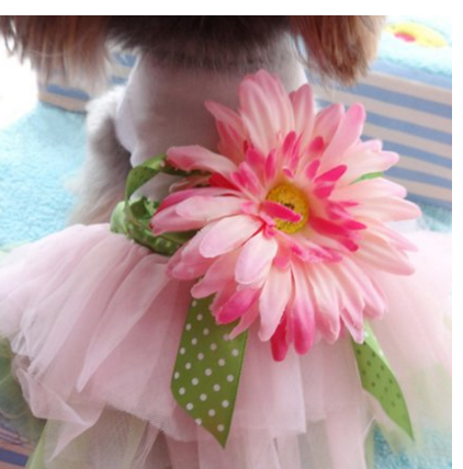 Pet Dog Cat Princess Clothes Bowknot Dress PanDaDa Dog Daisy Gauze Tutu Dress Skirt