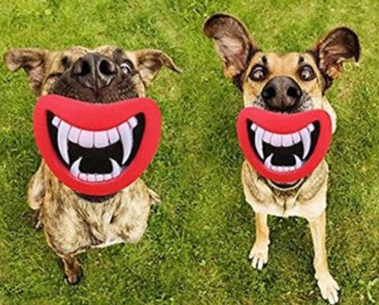 Silicone Red Lip Squeak Sound Dog Toys