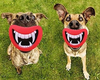 Silicone Red Lip Squeak Sound Dog Toys
