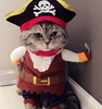 Pet Cosplay Coat Pirate Style