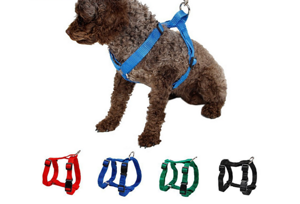 Pet Harness Nylon Adjustable Safety Control Restraint Cat Puppy Dog