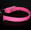 LED Nylon Collar Light-up Safety Bright Flashing Collar